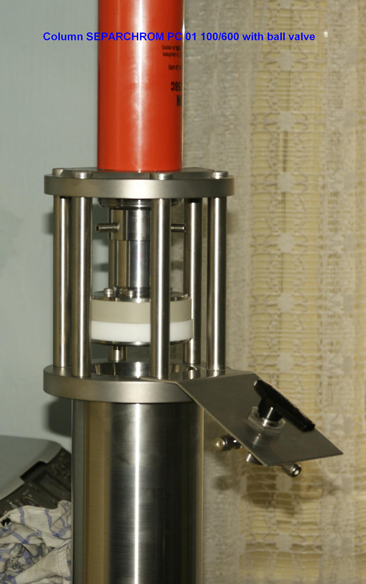 SEPARCHROM PC01 100/600 WITH BALL VALVE