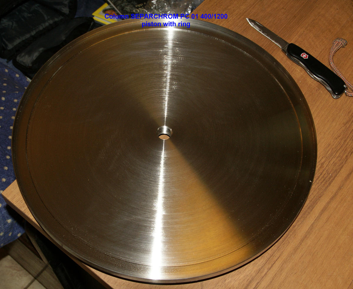 SEPARCHROM PC01 400/1200 PISTON WITH RING