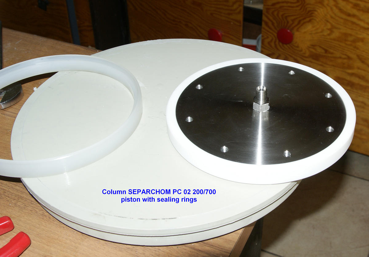 SEPARCHROM PC02 200/700 IMG-5 SEPARCHROM PC02 200/700 PISTON WITH SEALING RINGS